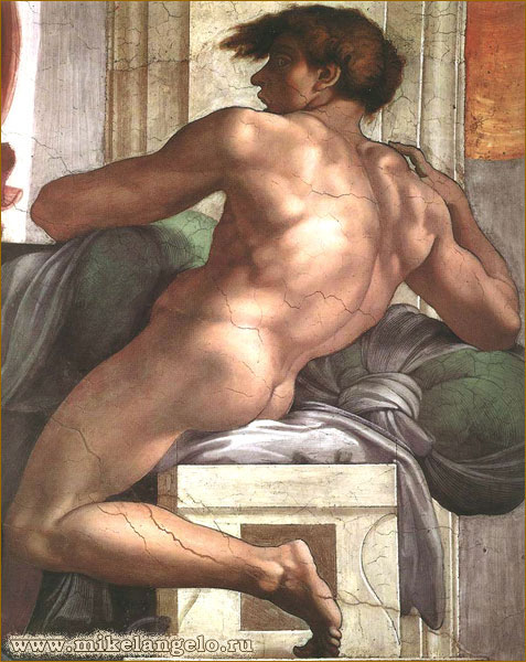 Ignudi,   ,      .  / www.mikelangelo.ru